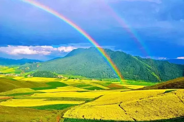 青海绿色发展,高原明珠的新篇章